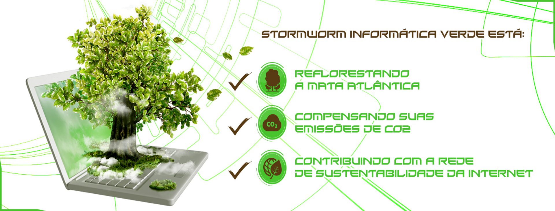 Storm Worm Informatica Verde: reflorestando a Mata Atlantica e compensando emissoes de CO2